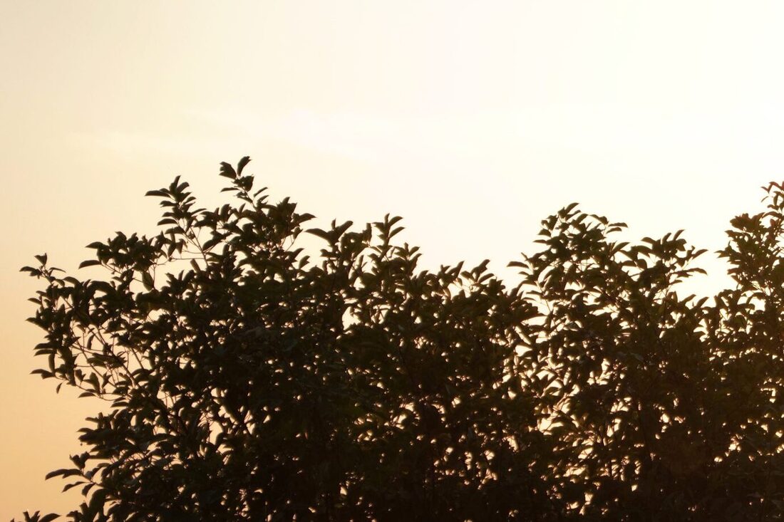 La lumière du soir